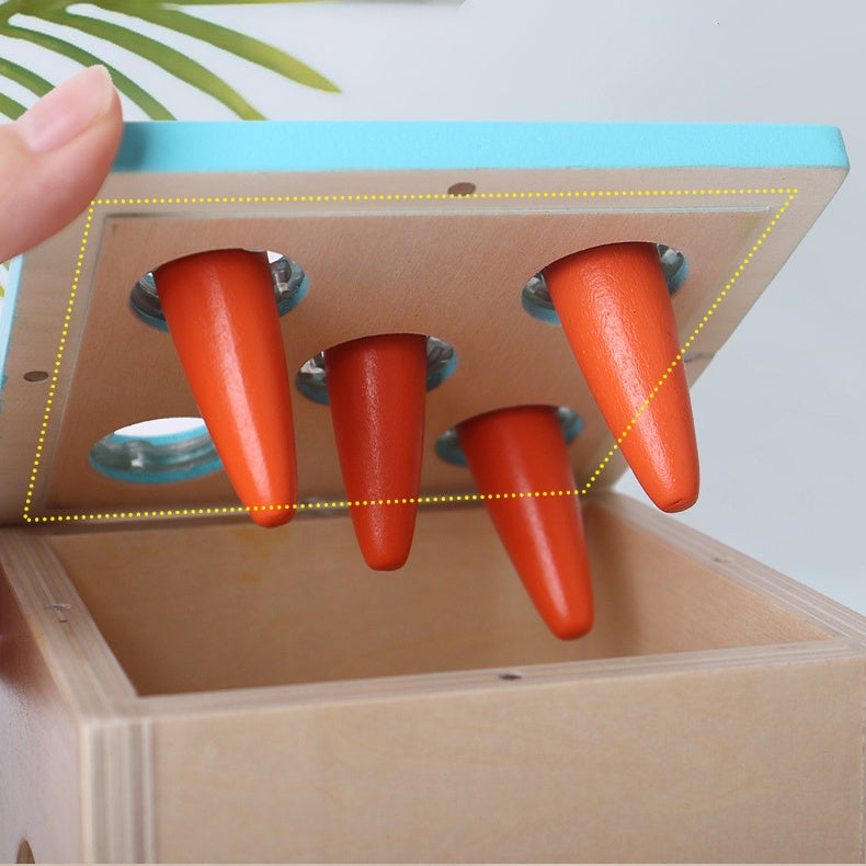 Activity Cube 5-in-1