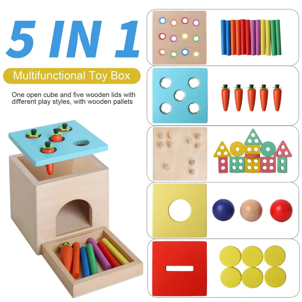 Activity Cube 5-in-1