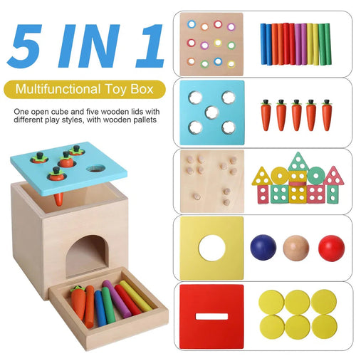 Activity Cube 5-in-1