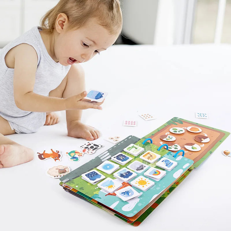 Baby Touch & Learn Book