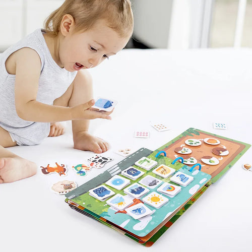 Baby Touch & Learn Book