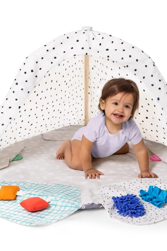 Wood Play Arch 5-Zone