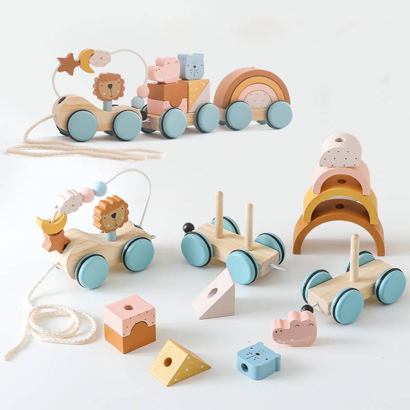 Animal Train Pull Toy