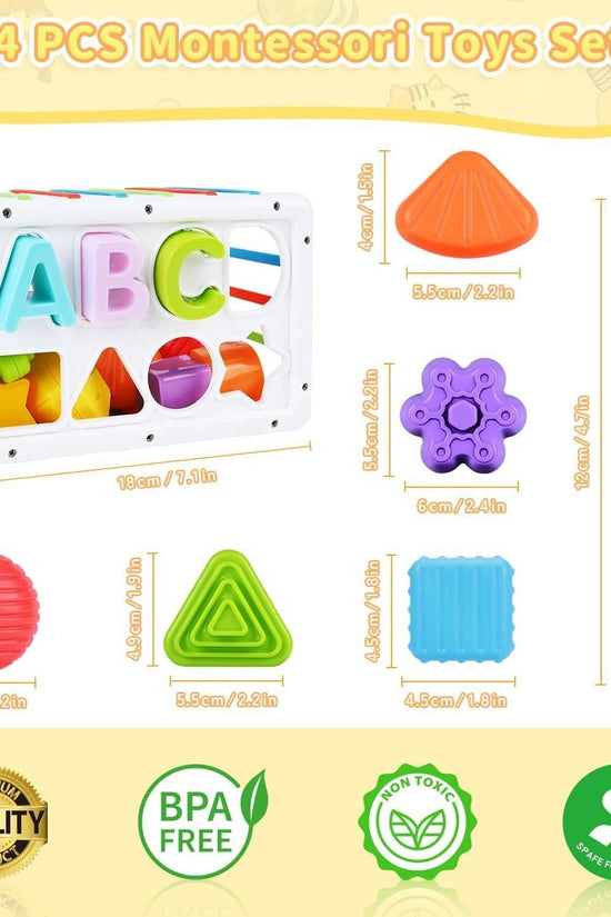 Shape Sorter Baby Toy