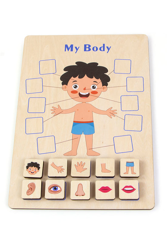 Body Parts Wood Puzzle