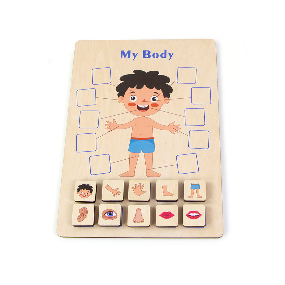 Body Parts Wood Puzzle