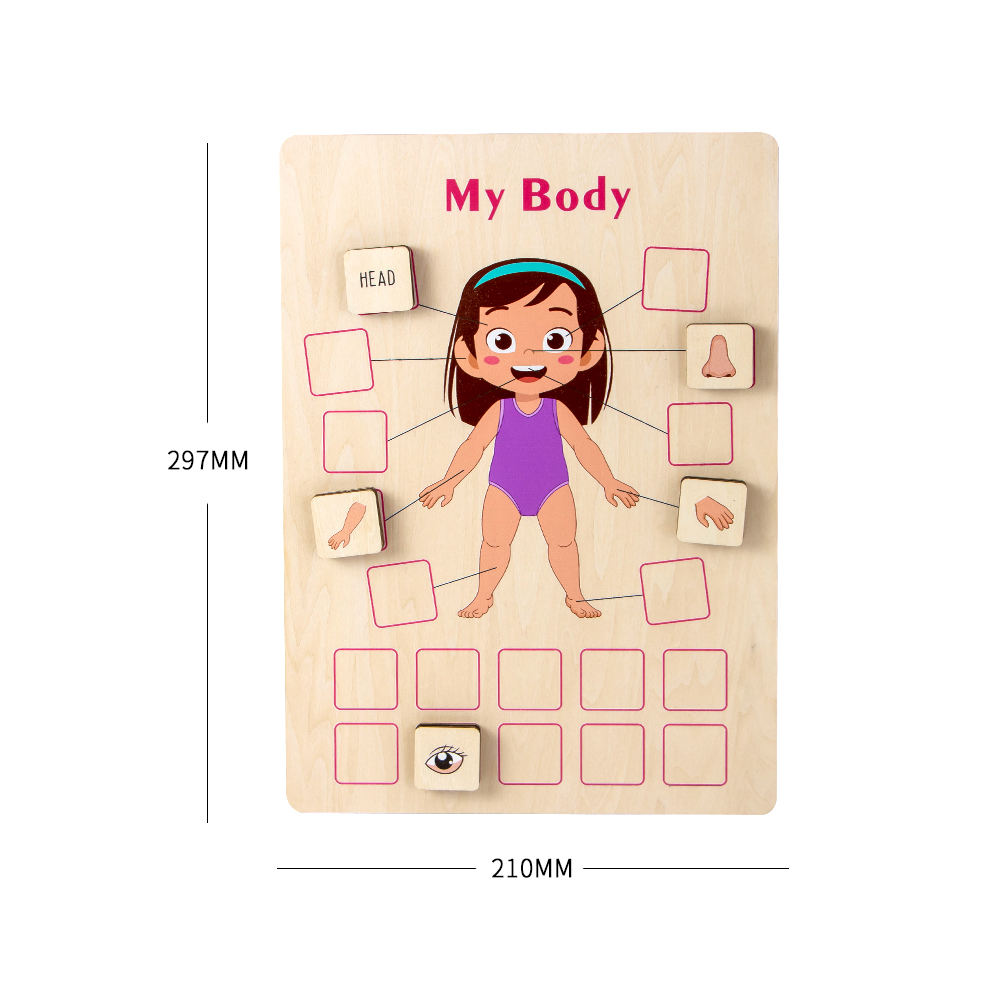 Body Parts Wood Puzzle
